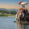 Elephant Riding