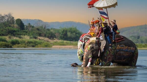Elephant Riding